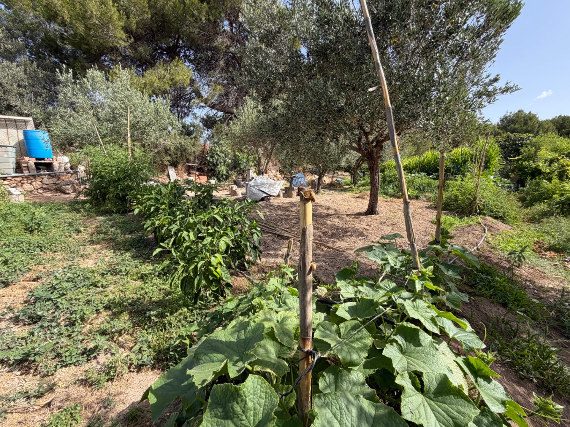 Villa te koop in Villamarchante