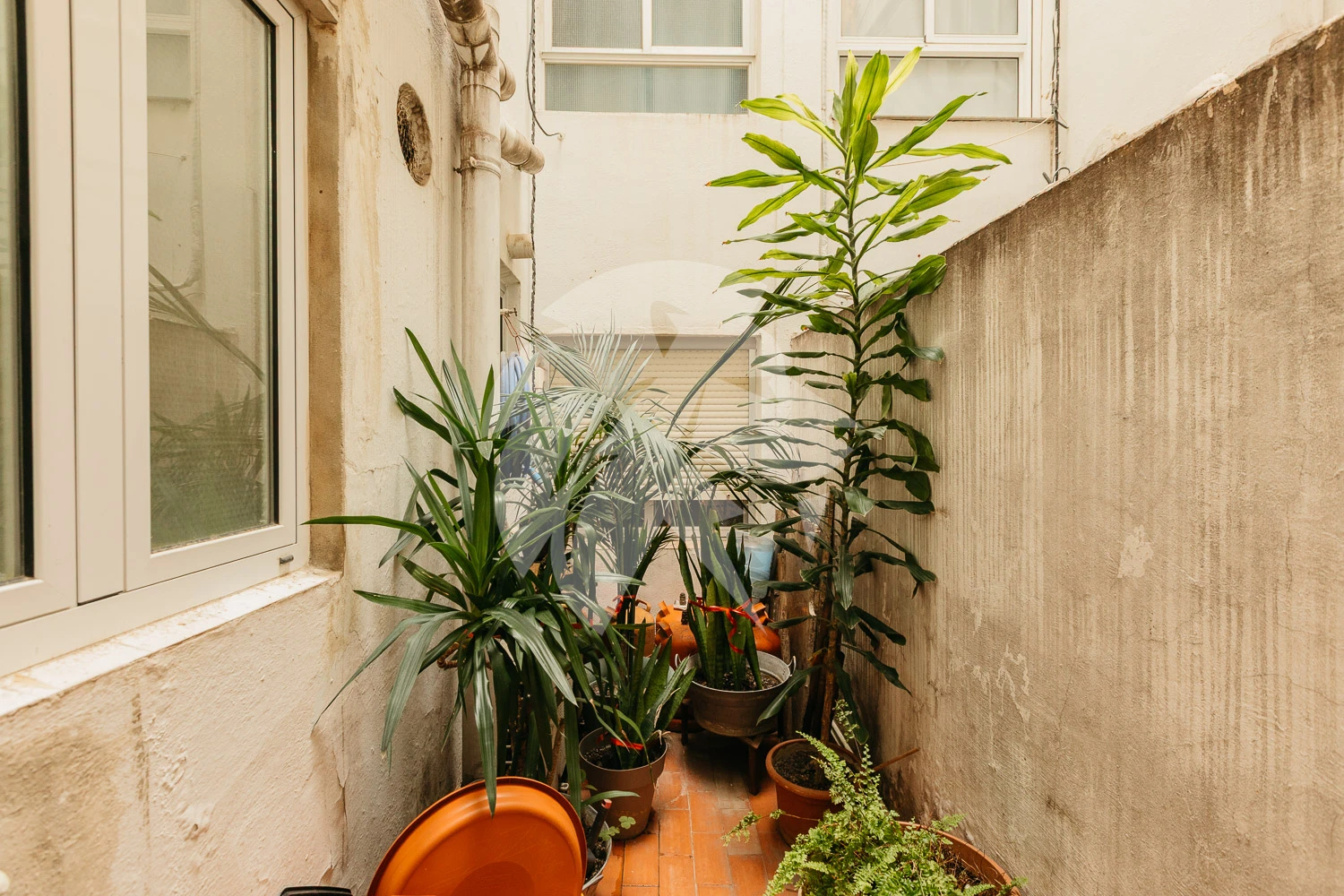 Ruim appartement met lift te renoveren in Valencia – El Grau