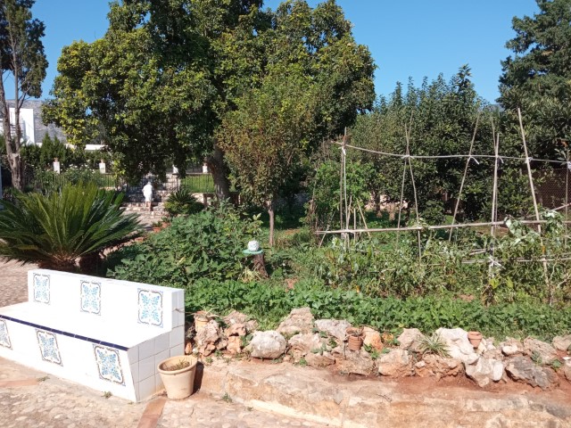 Villa te koop in Marxuquera Gandia