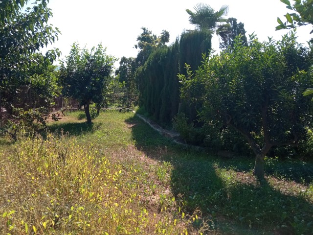 Villa te koop in Marxuquera Gandia