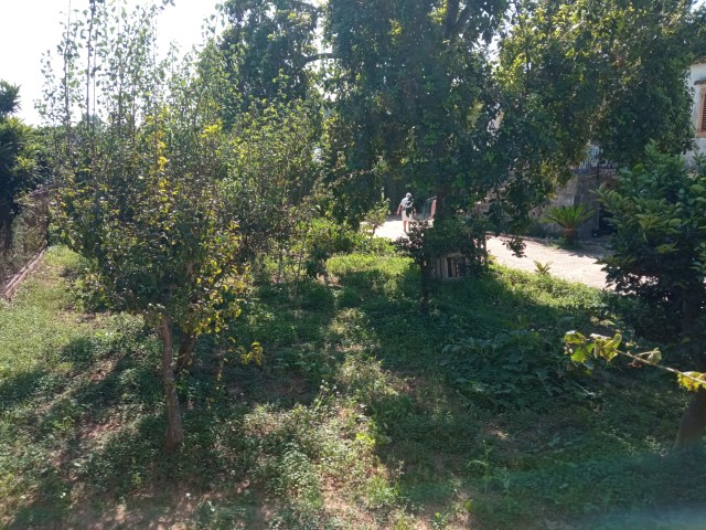 Villa te koop in Marxuquera Gandia