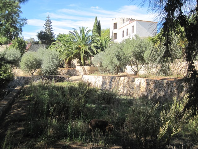 Finca te koop in Gandia